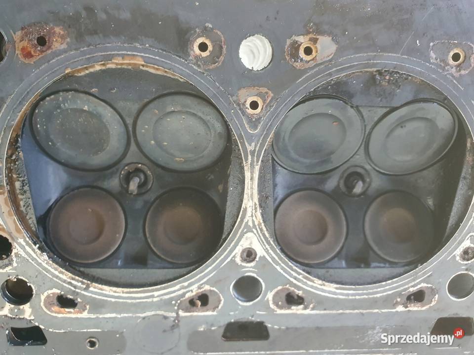 Renault Scenic II 16 16V GŁOWICA CYLINDRÓW osobowe Głowice cylindrów Rudka