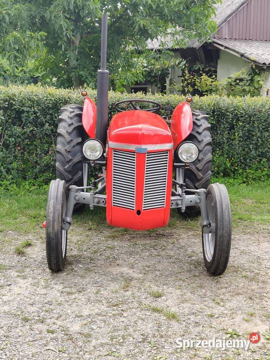 Ferguson tea20 z 1956r Gniewce sprzedam