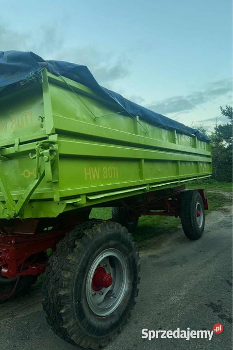 IFA HW8011 Toruń
