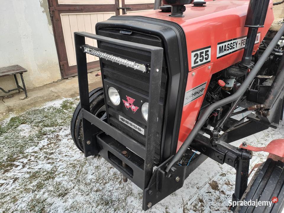 Massey Ferguson 255 Gorlice