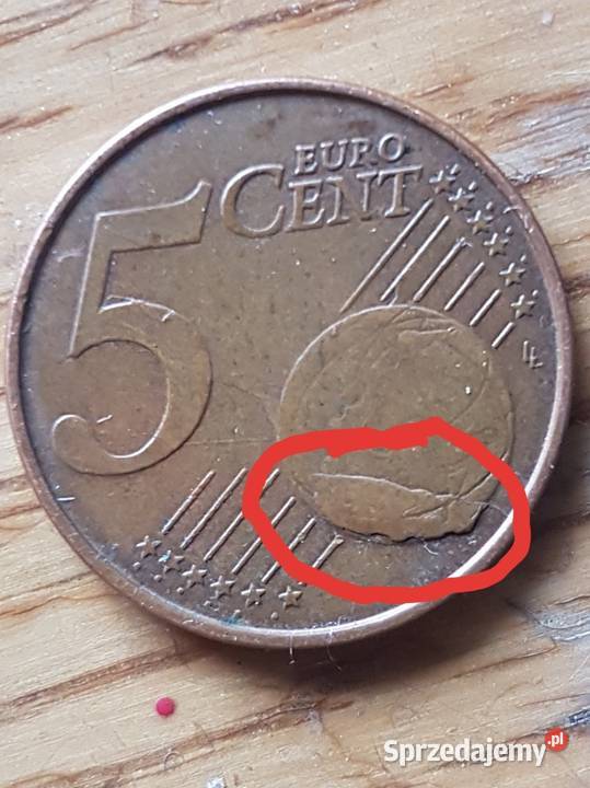 5 eurocent 2004 Belgia z błedem Nowogard