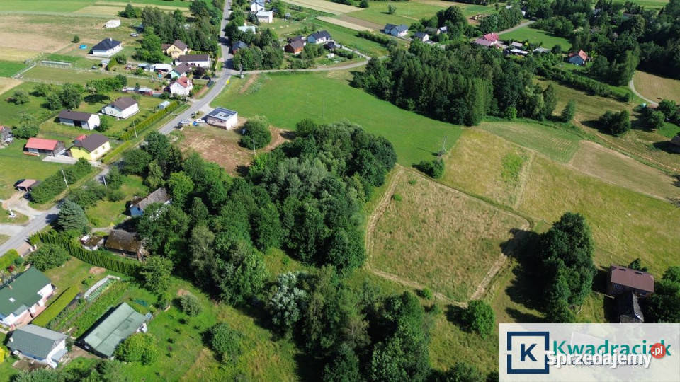 Grunt Korczyna 8208m2 sprzedam