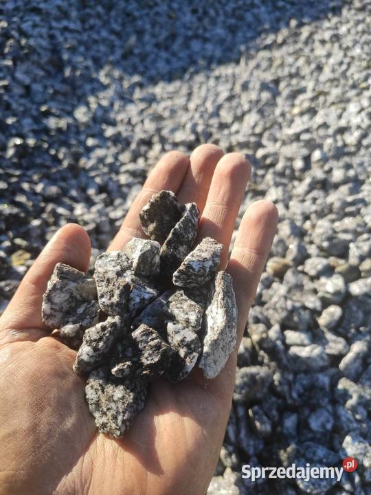 Grys Kośmin Granodioryt sjenit czarnobiały Opole