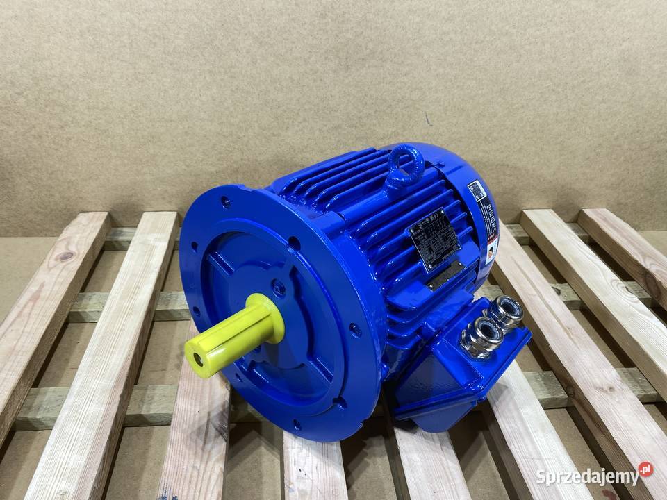 silnik elektryczny 55kW 1460obr 3fazowy WEG IE3 Pigża