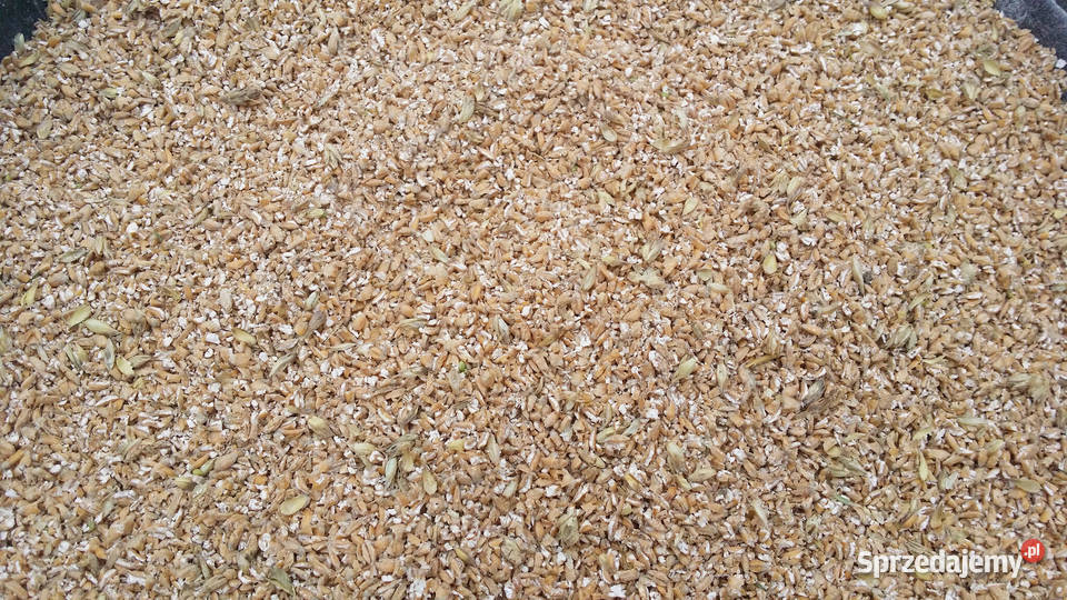 Pasza kur niosek naturalna gnieciona karma Karmy i pasze Jodłownik sprzedam