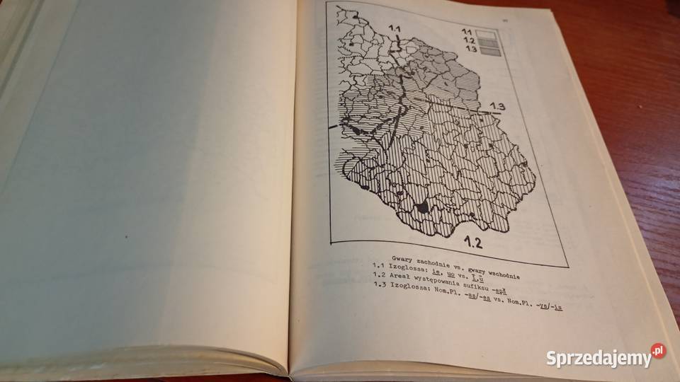 Jana Karigera słownik polskołotewski na tle Rok wydania 1977 Podręczniki Gdańsk