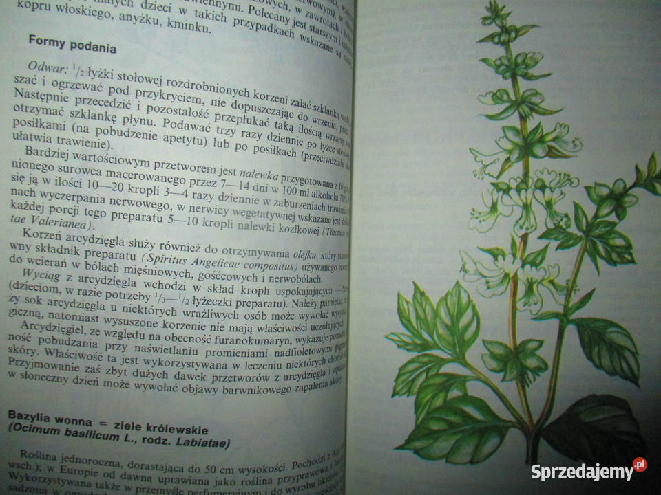 Domowy poradnik medyczny Rośliny lecznicze