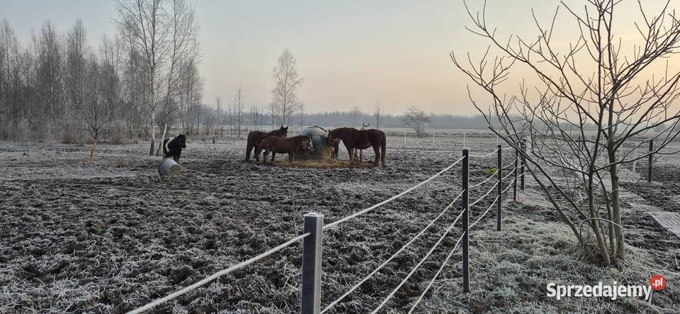 Słupki ogrodzeniowe padoki mocne trwałe do Warszawa
