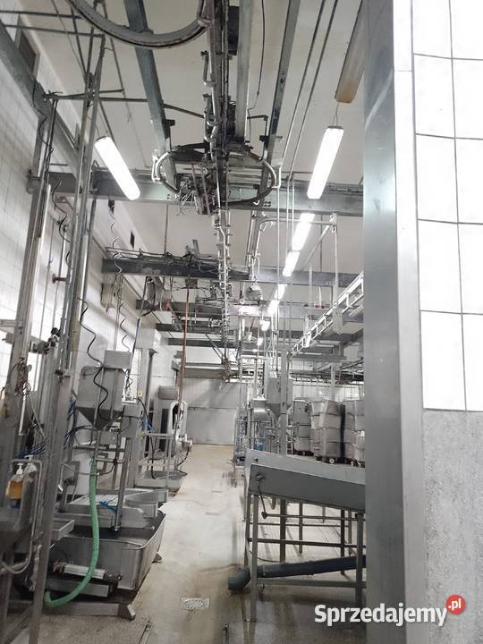 KOMPLETNA LINIA UBOJU BYDŁA