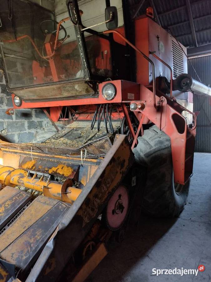 kombajn Bizon Z056 przystawka do kukurydzy Oblęgorek