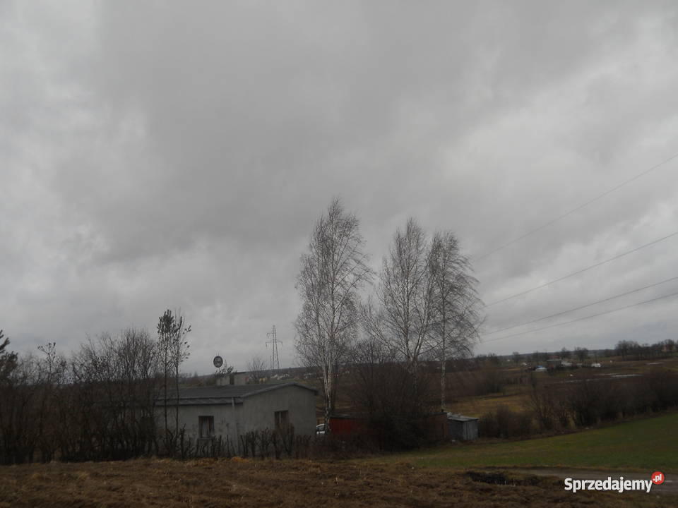 dom z działką pod Mławą mazowieckie Trzcianka-Kolonia
