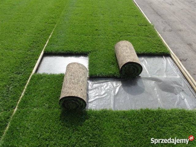 Trawa z rolki darń trawnik Bielsko-Biała sprzedam