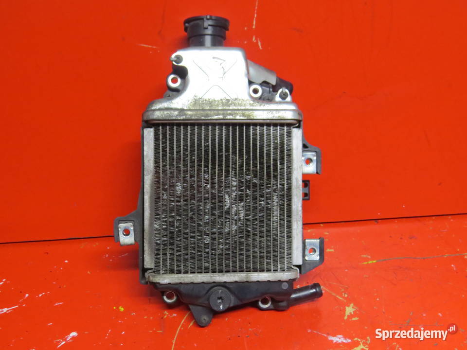 HONDA FORZA FSS 125 2019 chłodnica wody cooler Warszawa