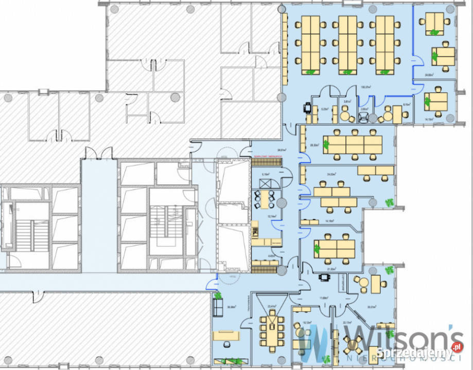 wynajmu lokalu Warszawa 538m2