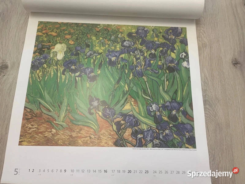Fototapeta flizelinowa chabry prezent niebieski