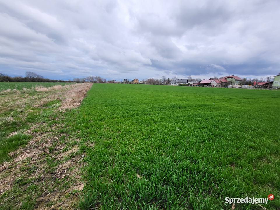 Sprzedam działki budowlane w Głogówku Uzbrojone opolskie