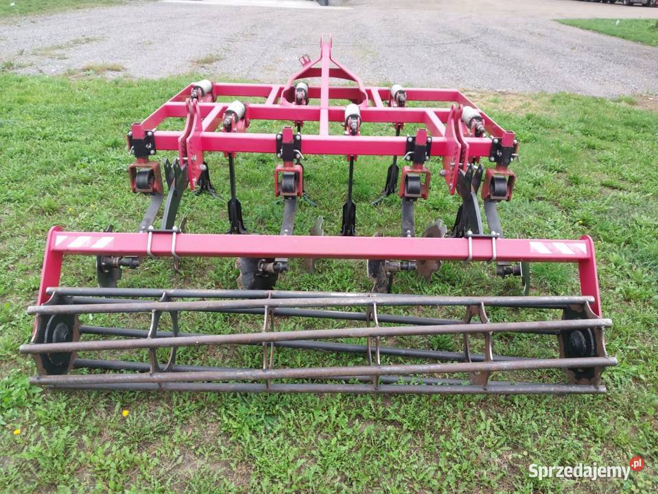 Gruber 26m 6 łap Włocławek