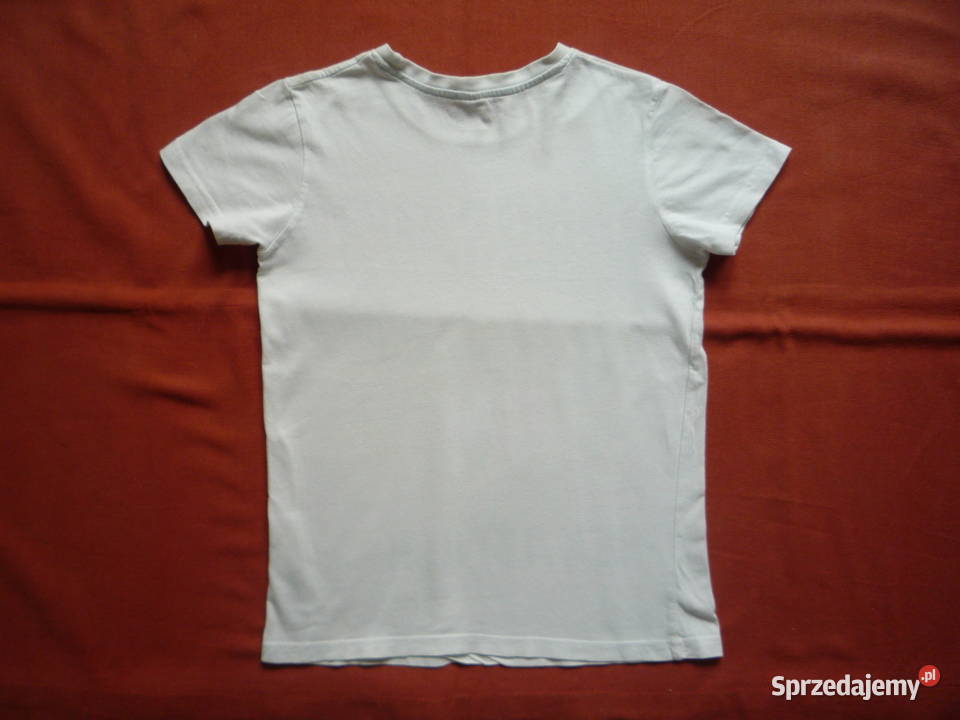 YFK 128 Bluzka Koszulka Tshirt Dinozaur TRex zachodniopomorskie Szczecin