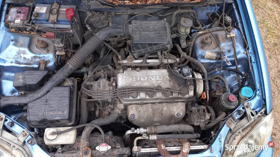 Honda Civiv VI Skwierzyna