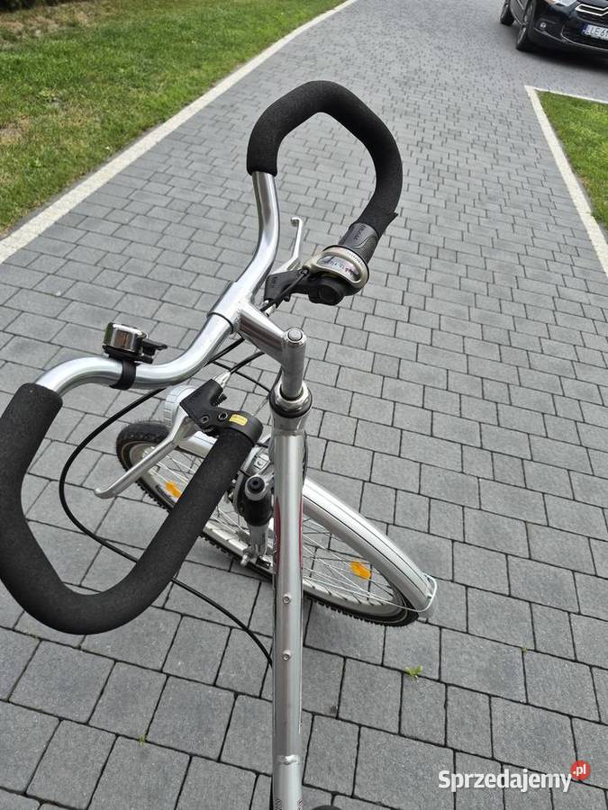 Rower Alu Rex Cyców
