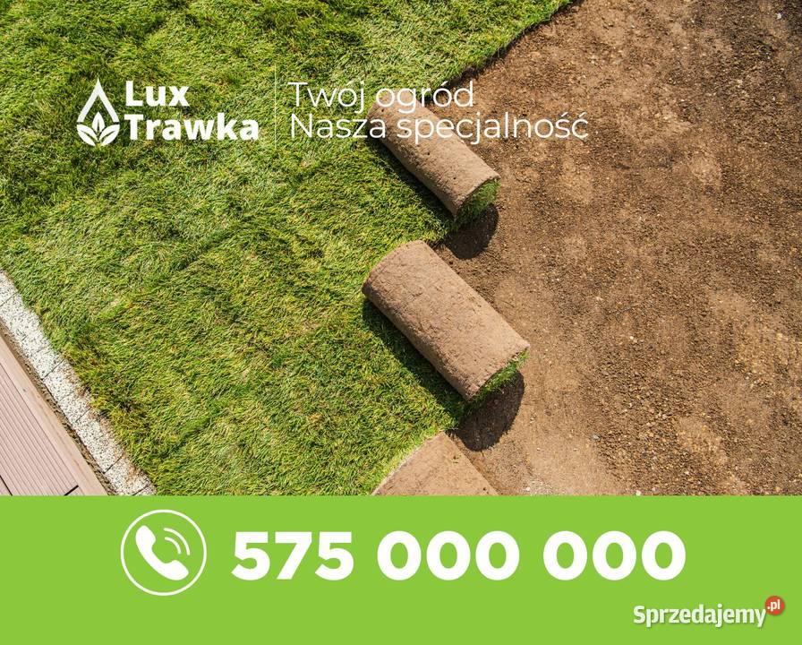 Trawa z rolki Sezonowana 1218 miesięcy Nowy Sącz