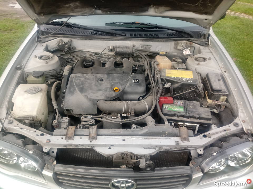 Toyota Corolla E11 19D okazja lakier metallic wielkopolskie Leszno