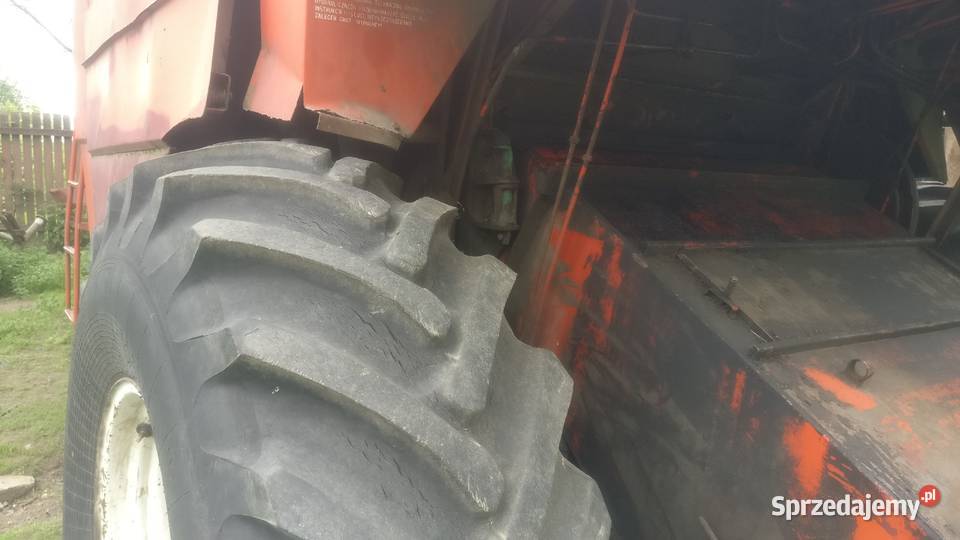 Bizon Z056 lubelskie Ratoszyn Pierwszy