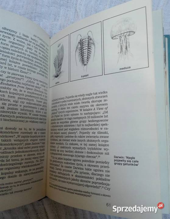 powstało życie fa zachodniopomorskie Goleniów