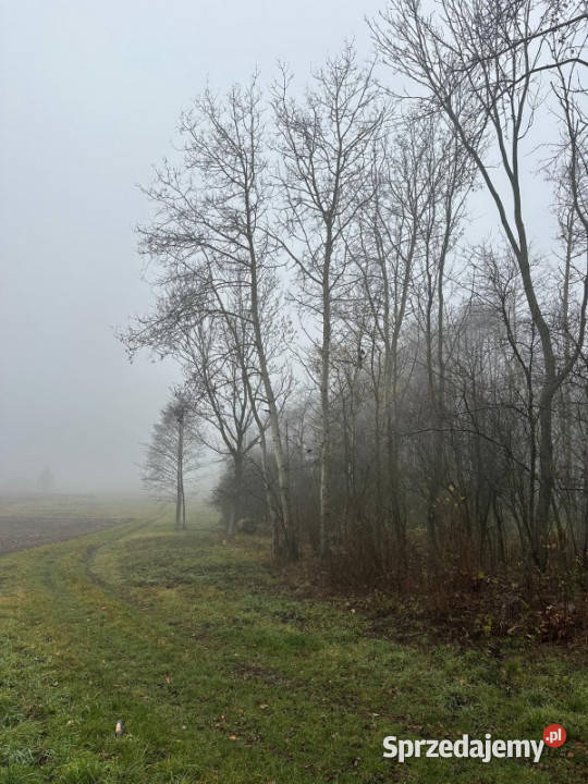 Działka na sprzedaż Bystrzanów Królewska