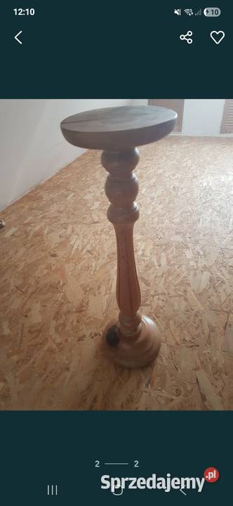 Kwietnik noga Kłodzko