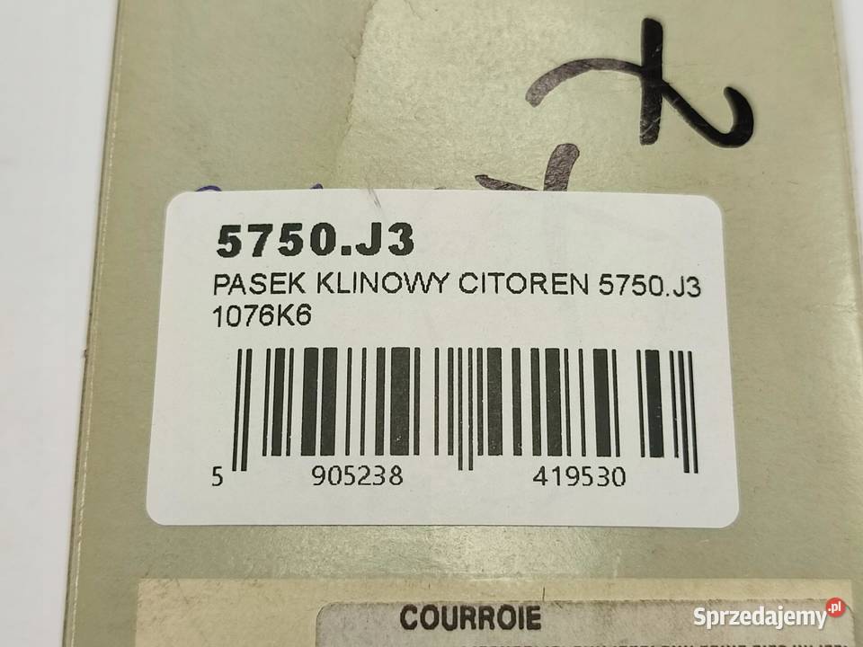 PASEK KLINOWY CITOREN XANTIA 16 20 19952003 NOWY lubelskie