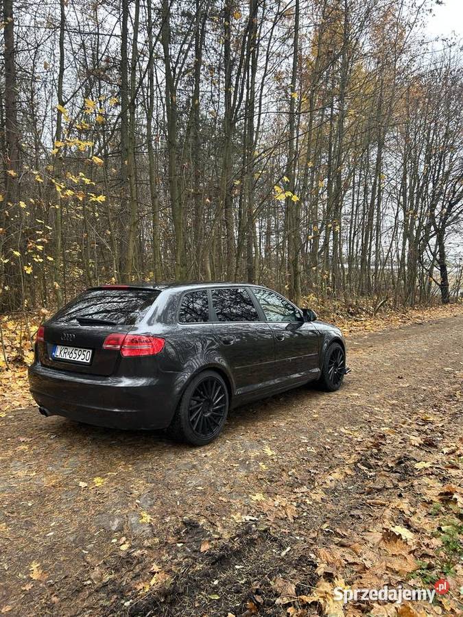 Audi A3 8p 18 TFSI Dzierzkowice-Wola
