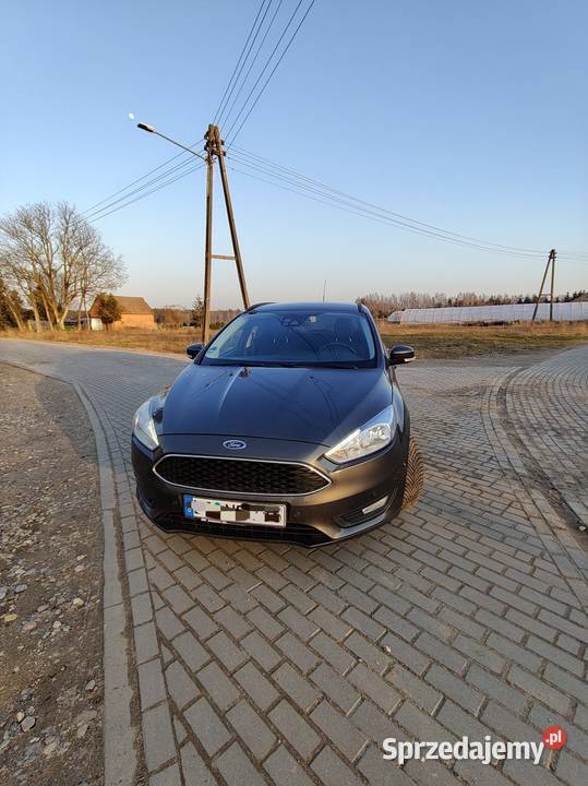 Ford focus 2016 ecobust