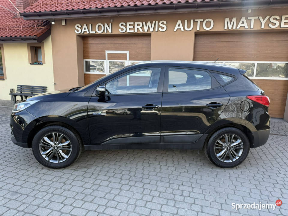 Hyundai ix35 Rezerwacja światła przeciwmgielne Orzech
