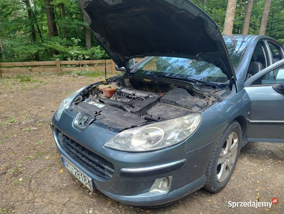 Peugeot 407 Sedan 20 benzyna LPG