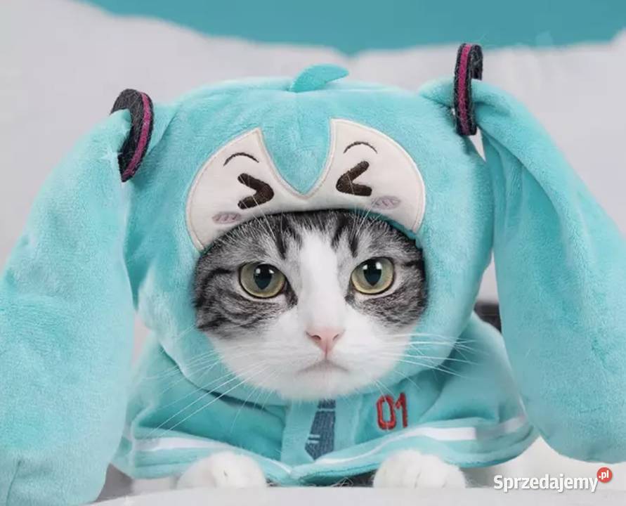 nowa czapeczka anime zwierzaka lalki Sandomierz sprzedam