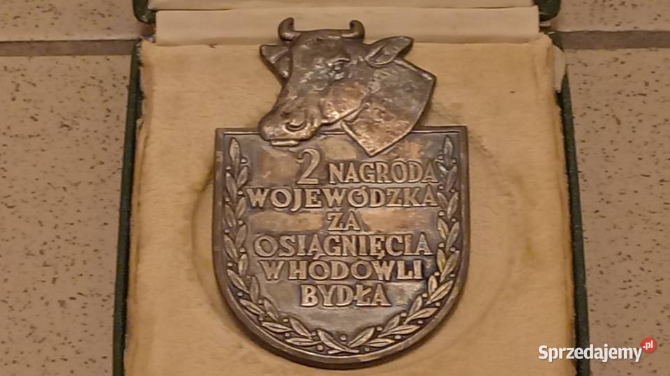 zestaw medaliplakiet NAGRODA WOJEWÓDZKA wielkopolskie Tarnowo Podgórne