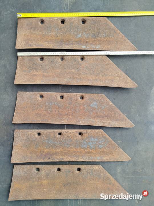 Lemiesze pługa zagonowego Strzelno