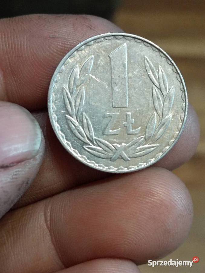 Sprzedam monete 1 zloty 1981r Chełm