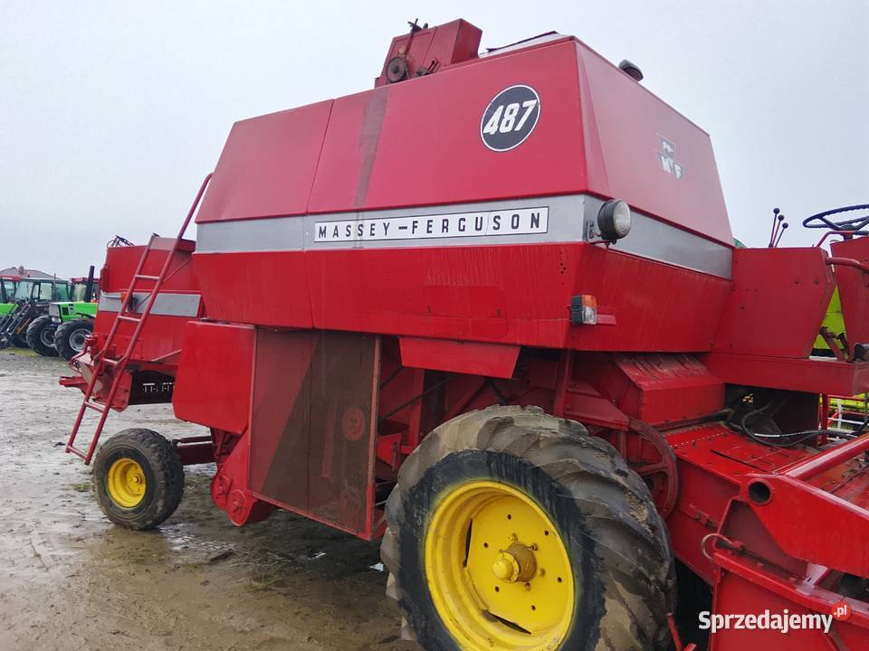 Kombajn zbożowy Massey ferguson 487 z Skaryszew
