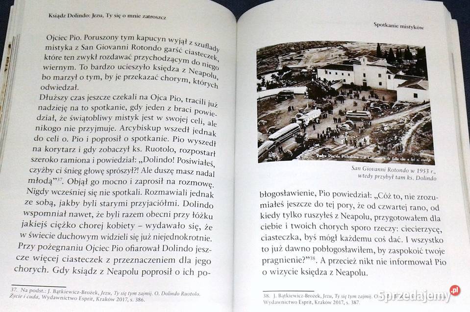 Ksiądz Dolindo Beata Legutko Marta Wielek Rok wydania 2017 Chełm