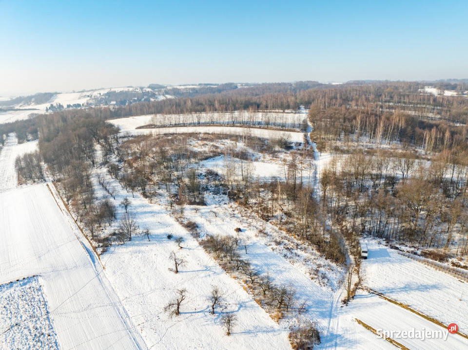 Rolna w urokliwej okolicy Czułów