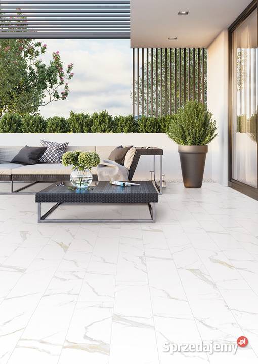 Carrara Classic Gold Poler 60 x 1195 x 09 144 m2 sprzedam