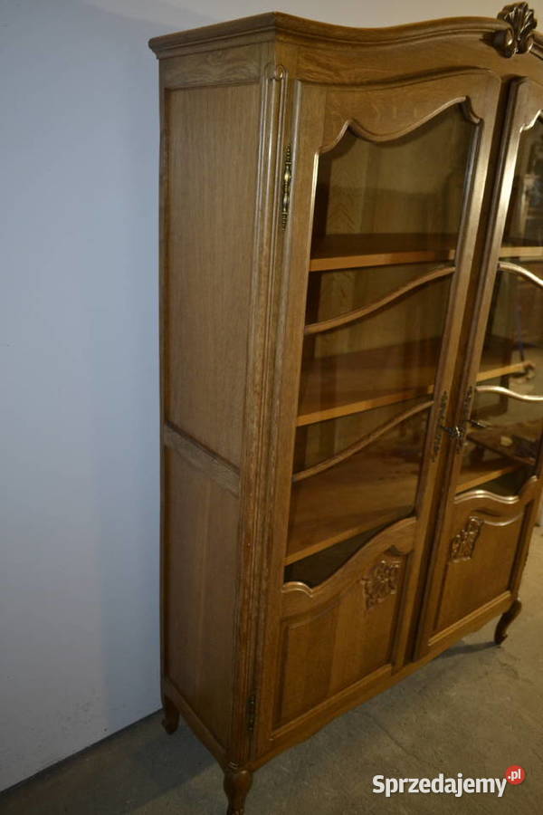 biblioteka witryna ludwikowska dąb Będzin