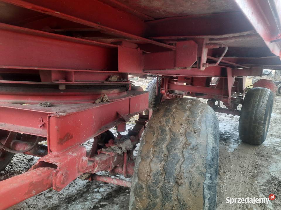 Przyczepa Brandys 8ton Chochołów