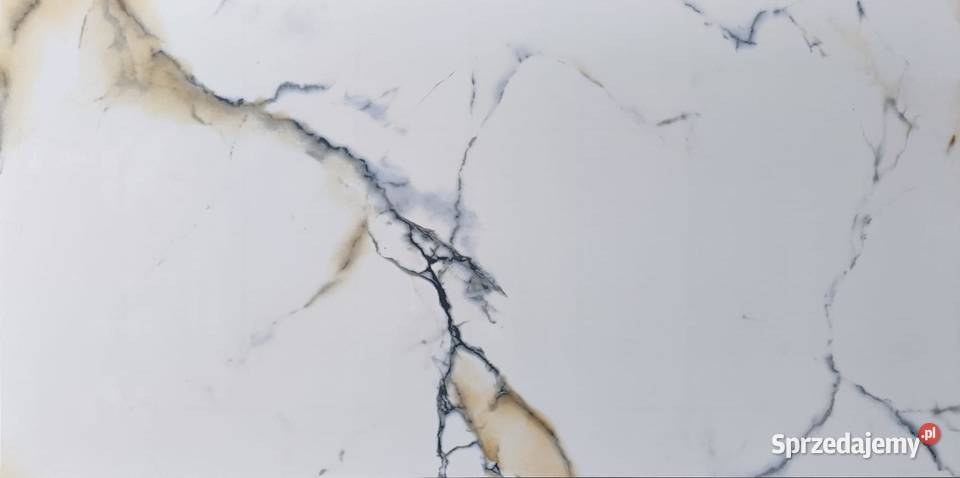 Płytki ELEGANT BIANCO POLER 60x120 Gatunek I Płytki uniwersalne dolnośląskie Ścięgny