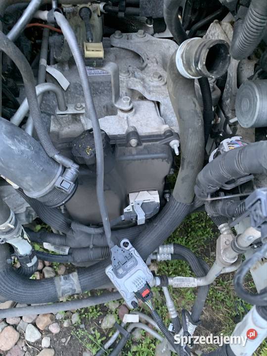 Ford custom 20 Skrzyna biegów KK2P7000EA Września