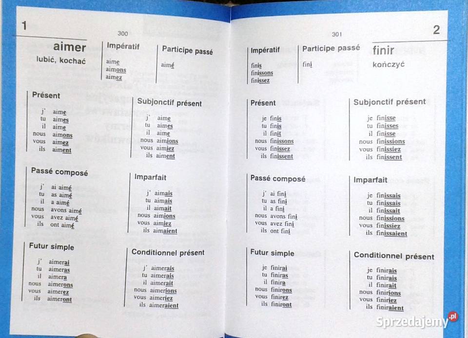 Słownik francuskopolski polskofrancuski Mini Chełm