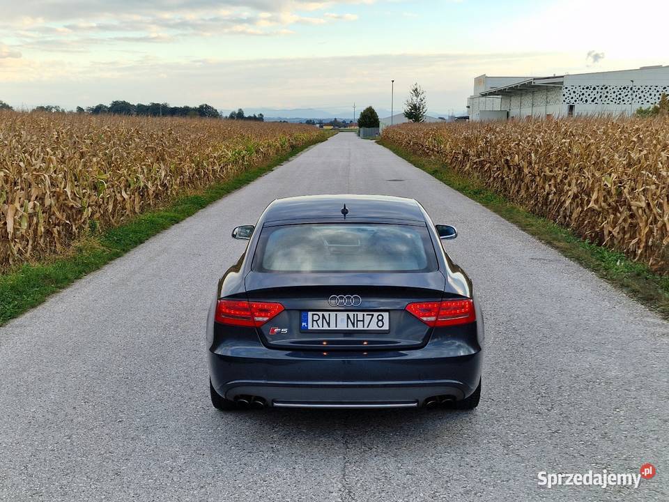 Audi S5 Sportback 30 TFSI 333 Nisko