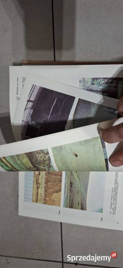 Pierwsze wydanie Ochrona mostów przed korozją wielkopolskie Łęczyca